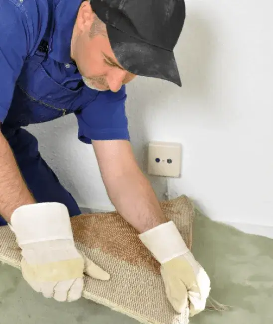 team-of-experts | Carpetland USA Granite & Flooring